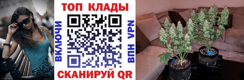 Как найти закладки Беслан Галлюциногенные грибы  omg рабочий сайт  ГАШ  Конопля  МЕФ 