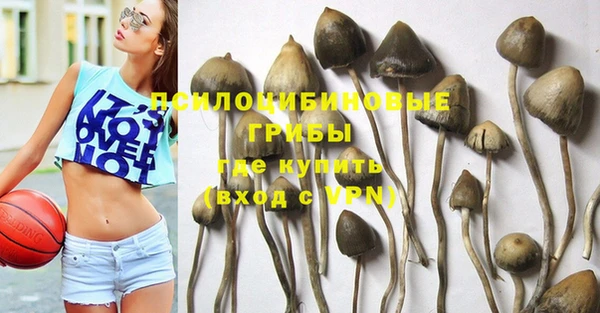 герыч Алзамай