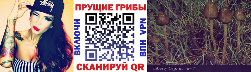 Псилоцибиновые грибы прущие грибы  Беслан 