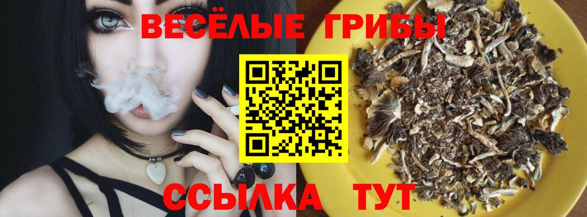 Галлюциногенные грибы мухоморы Беслан